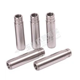 Ống dẫn hướng van